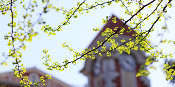 Z6·尊龙凯时「中国集团」官方网站