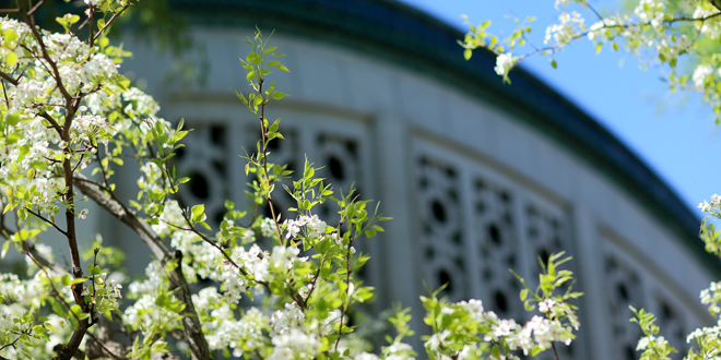 Z6·尊龙凯时「中国集团」官方网站