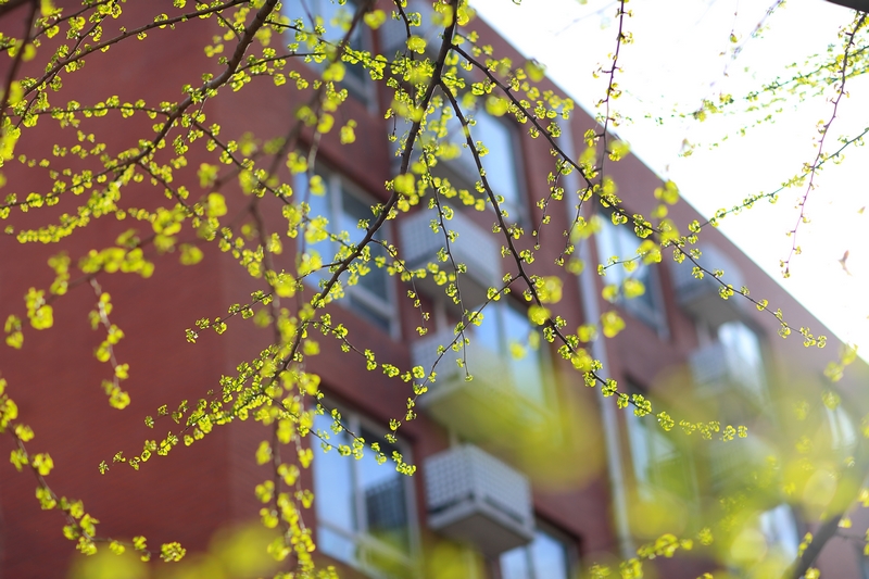 Z6·尊龙凯时「中国集团」官方网站