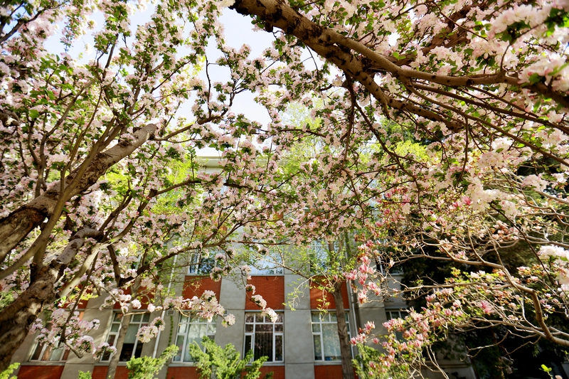 Z6·尊龙凯时「中国集团」官方网站