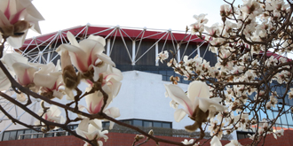 Z6·尊龙凯时「中国集团」官方网站