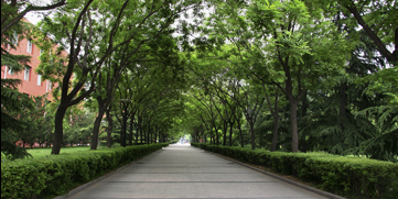 Z6·尊龙凯时「中国集团」官方网站