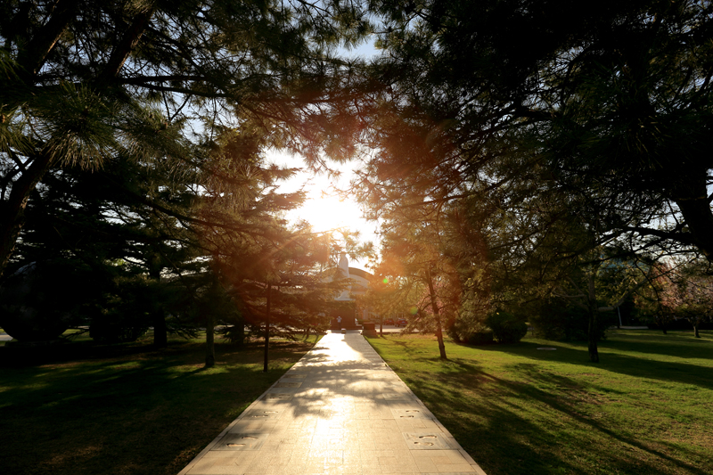 Z6·尊龙凯时「中国集团」官方网站