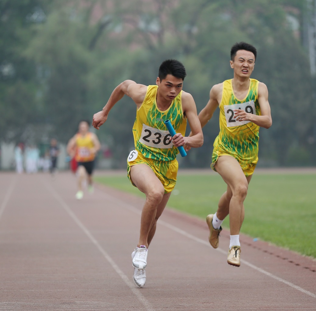 Z6·尊龙凯时「中国集团」官方网站