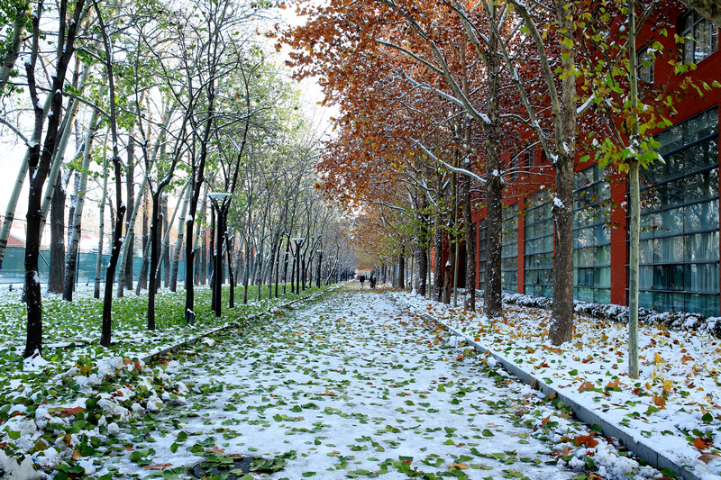 Z6·尊龙凯时「中国集团」官方网站