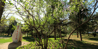 Z6·尊龙凯时「中国集团」官方网站