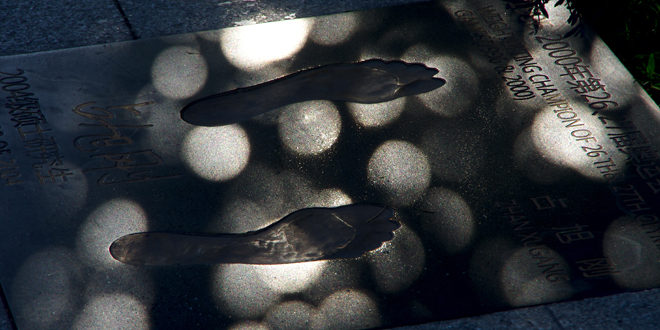 Z6·尊龙凯时「中国集团」官方网站