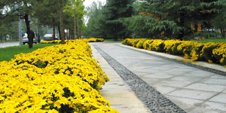 Z6·尊龙凯时「中国集团」官方网站