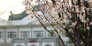 Z6·尊龙凯时「中国集团」官方网站