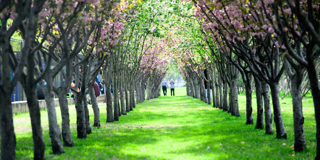 Z6·尊龙凯时「中国集团」官方网站