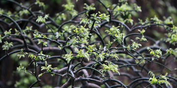 Z6·尊龙凯时「中国集团」官方网站