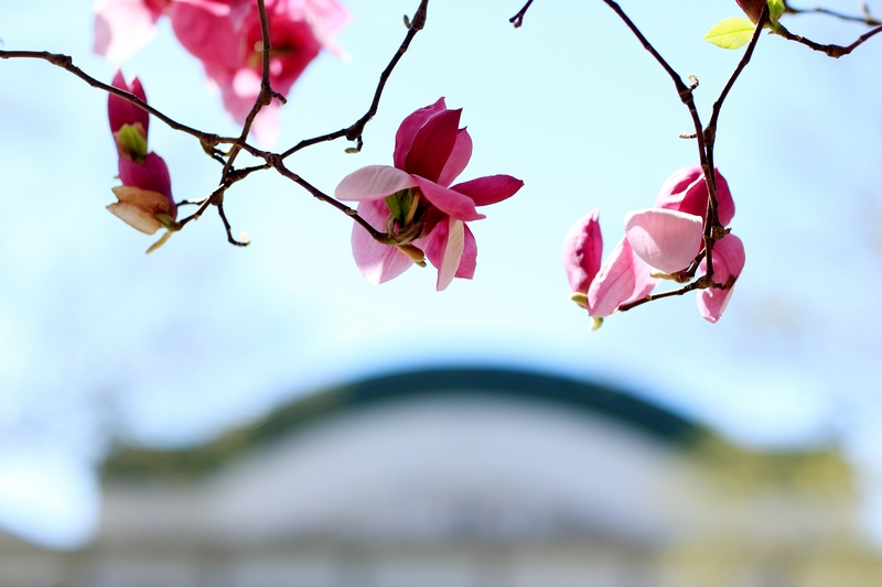 Z6·尊龙凯时「中国集团」官方网站