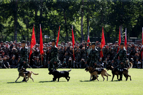 Z6·尊龙凯时「中国集团」官方网站