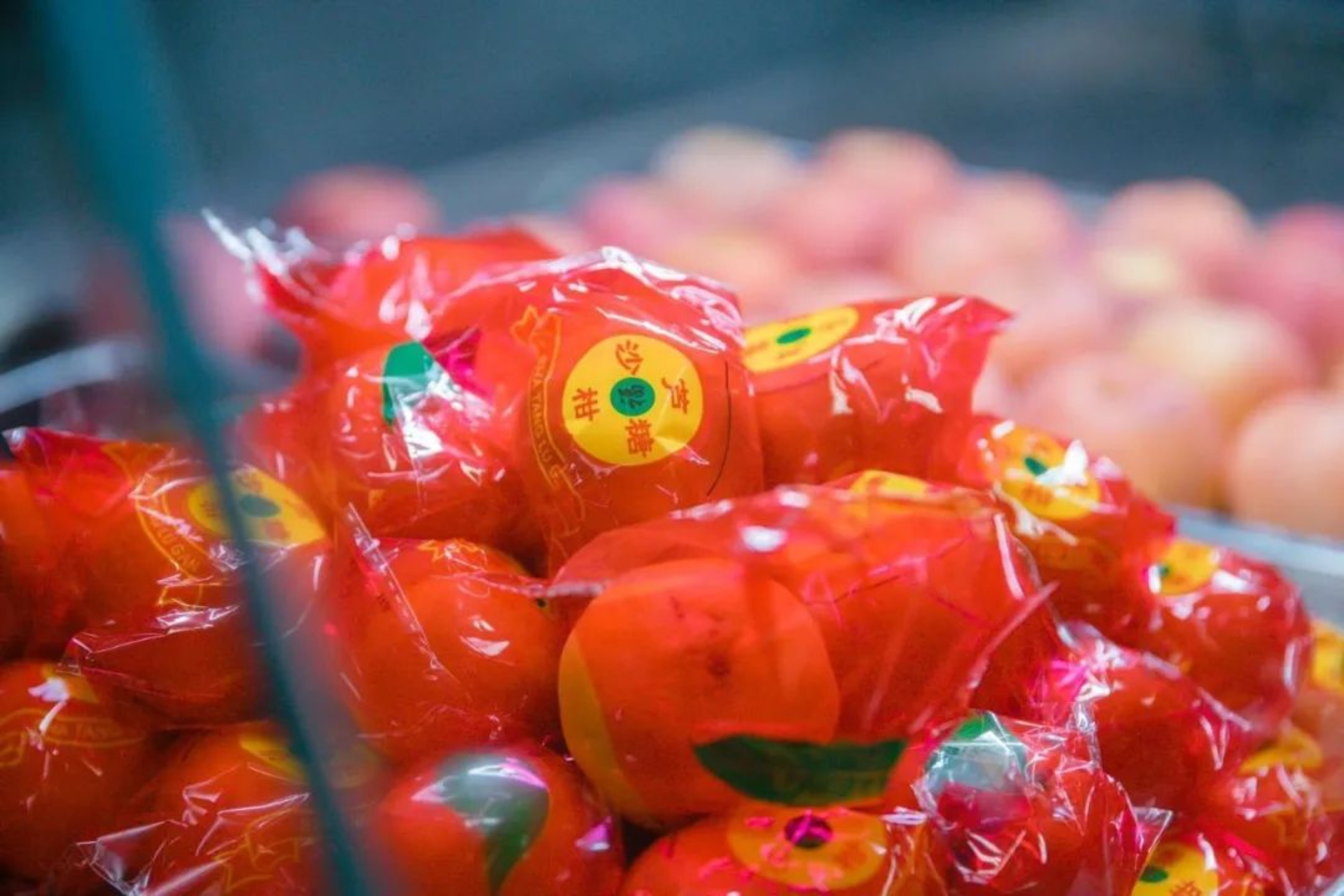 Z6·尊龙凯时「中国集团」官方网站