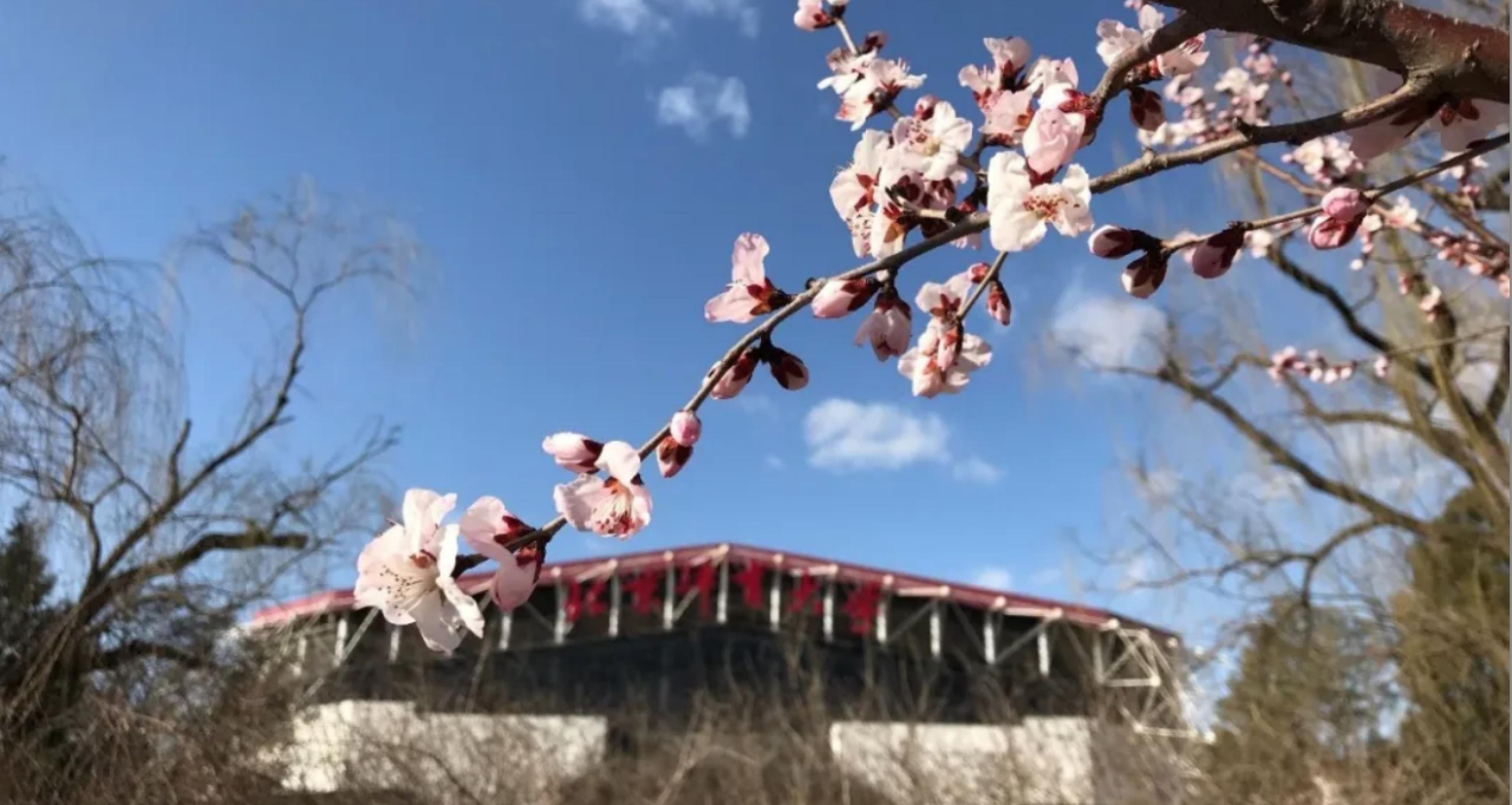 Z6·尊龙凯时「中国集团」官方网站