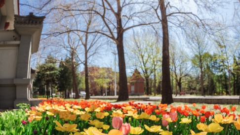 Z6·尊龙凯时「中国集团」官方网站