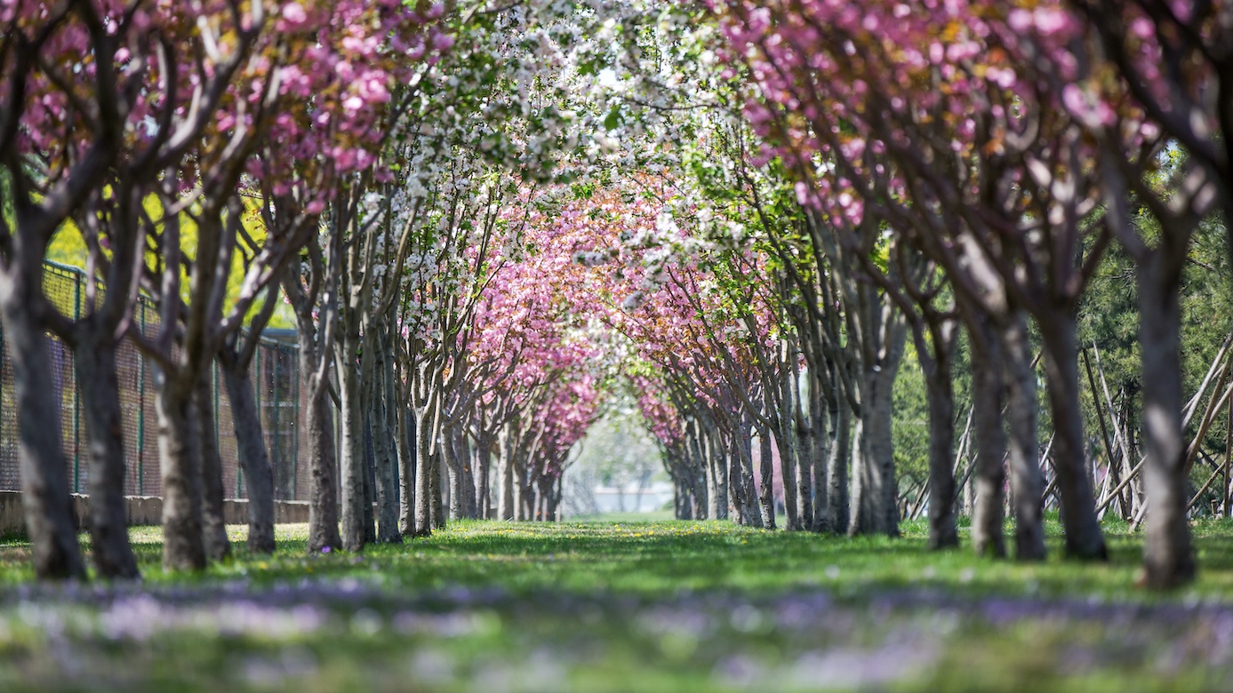 Z6·尊龙凯时「中国集团」官方网站