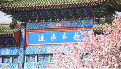 Z6·尊龙凯时「中国集团」官方网站