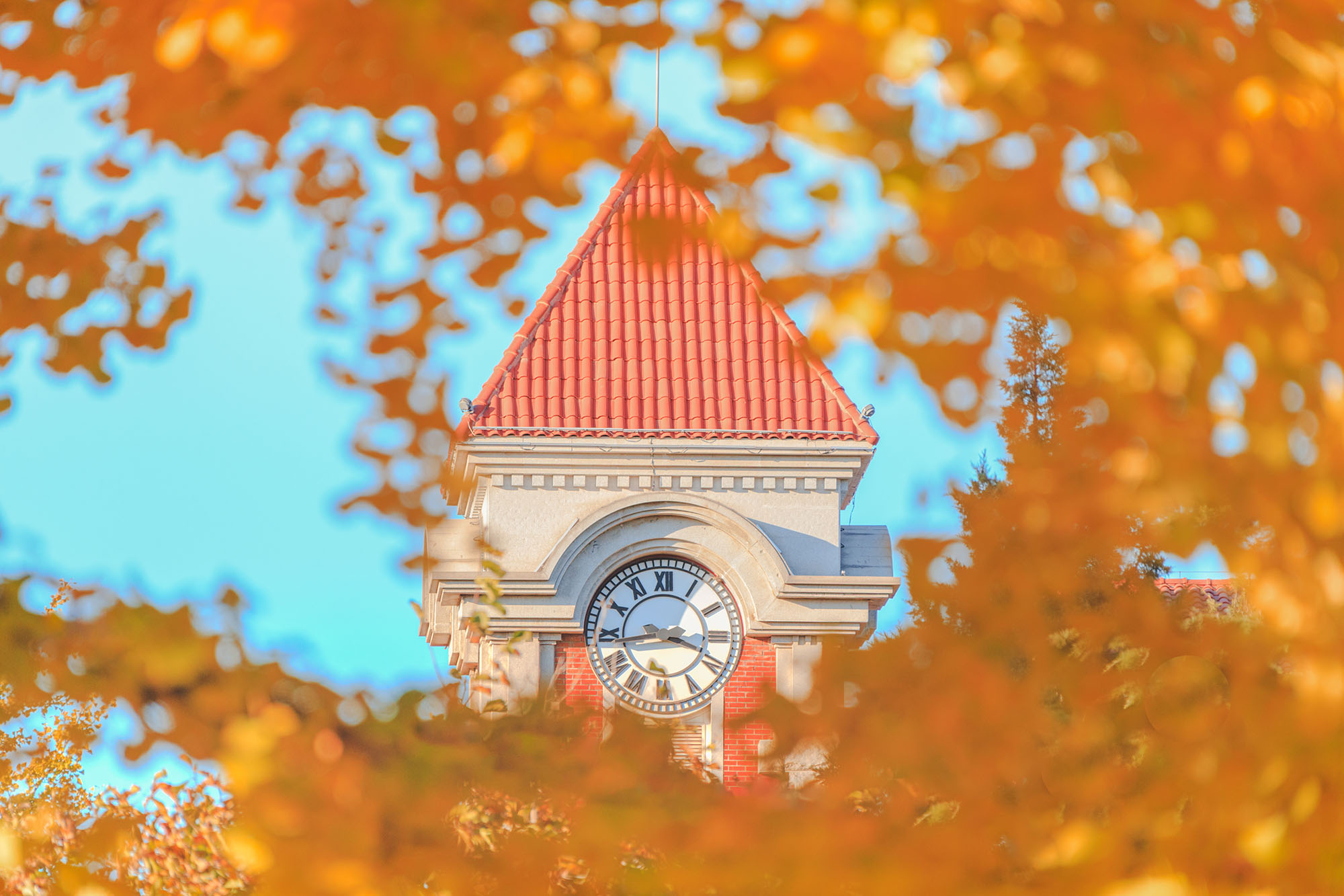 Z6·尊龙凯时「中国集团」官方网站