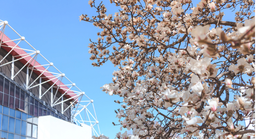 Z6·尊龙凯时「中国集团」官方网站